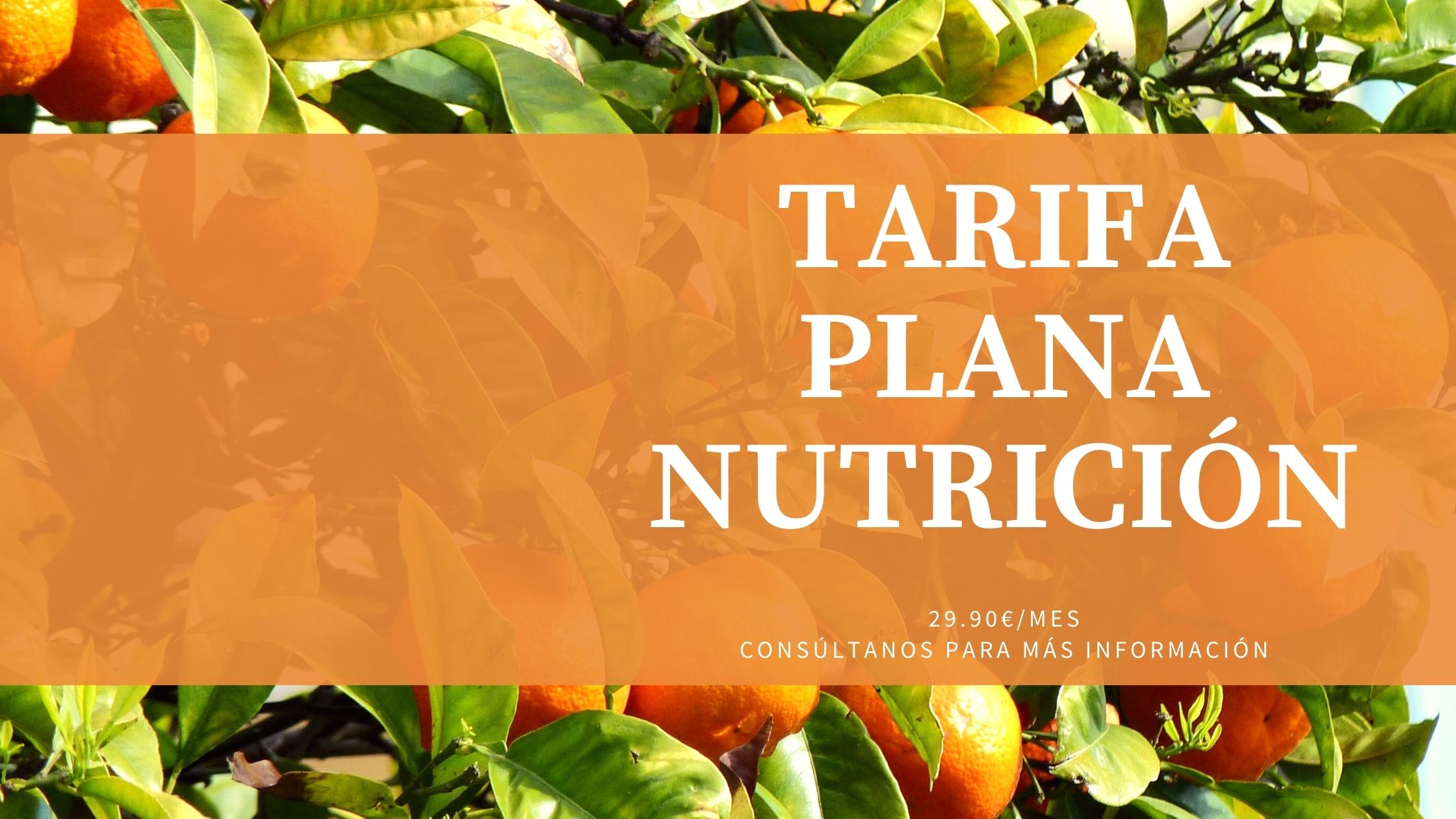 TARIFA PLANA NUTRICION PROMENTIUM MURCIA