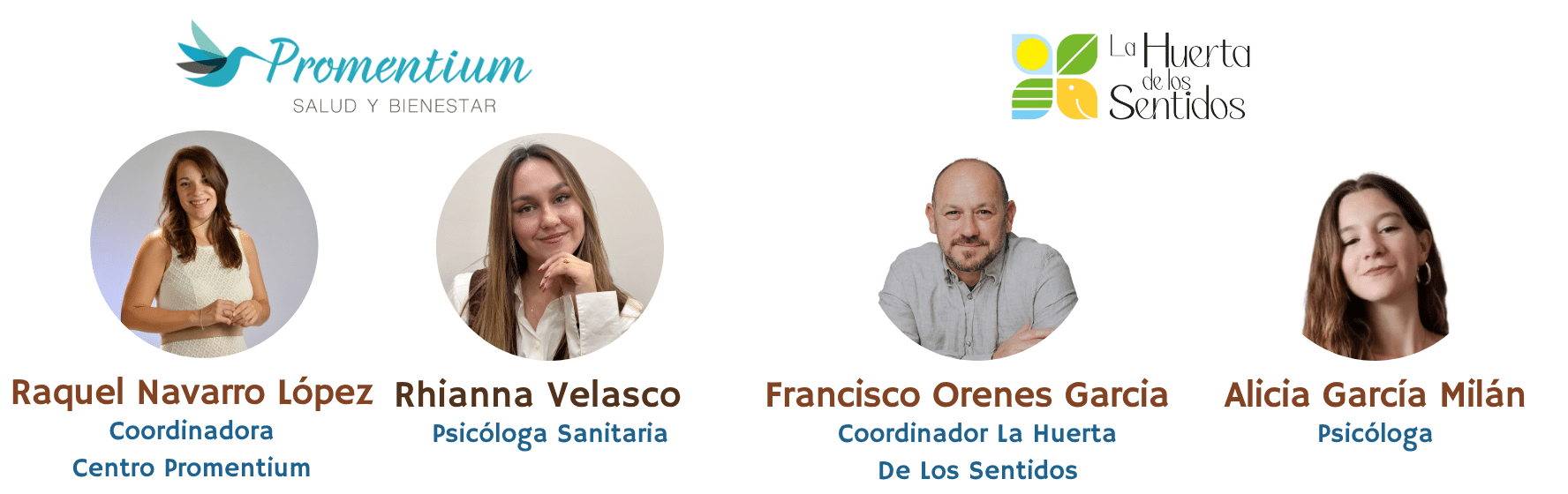 equipo escuela de verano promentium